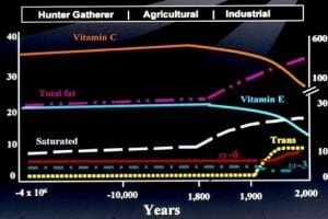What We Eat Through History